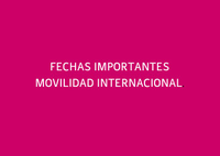 Convocatoria de Movilidad Internacional 24/25