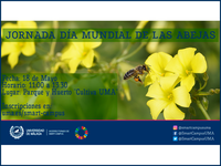 Actividad por el Día de las Abejas [ODS]