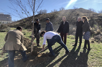 La spin off Métrica6 celebra su sexto aniversario con una plantación de árboles en Teatinos