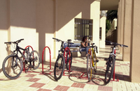 "Este es el el momento adecuado para conseguir el cambio de mentalidad que la bicicleta necesita”