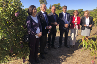 Rogelio Velasco visita la estación experimental IHSM 'La Mayora', referente en investigación agrícola internacional