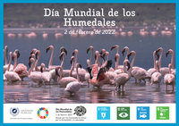 Día de los Humedales 2022 [ODS]