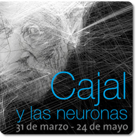 EXPOSICIÓN CAJAL Y LAS NEURONAS