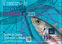 V-concurso