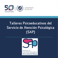 Talleres SAP