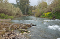 Río Guadiaro a la altura de la estación de Cortes de la Frontera