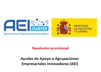 resolucion provisional AEI2024