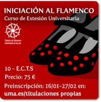 Curso iniciación al flamenco