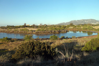 Foto de una laguna en el acuífero del Bajo Guadalhorce con el acuífero de la Sierra de Mijas al fondo