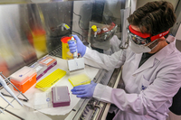 Diego Lozano, técnico del Laboratorio PCR de la UMA. Fotografía de la agencia Punto Press