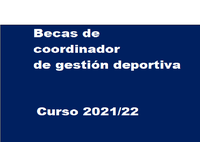 becas coordinador